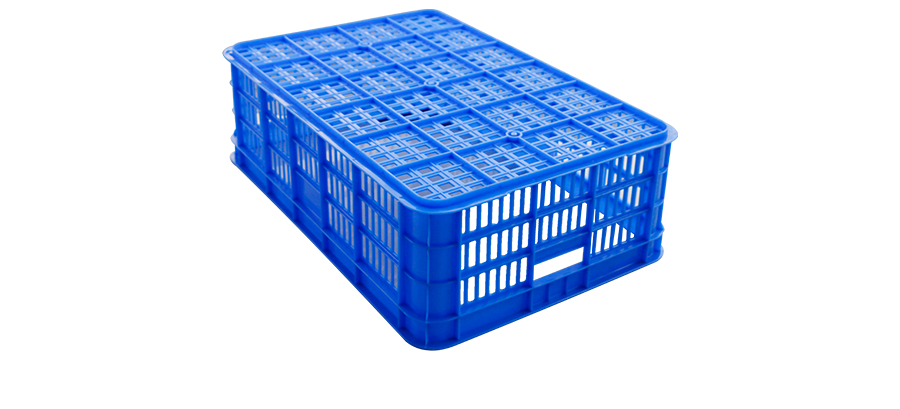 487174850295815.jpg 1_03.jpg