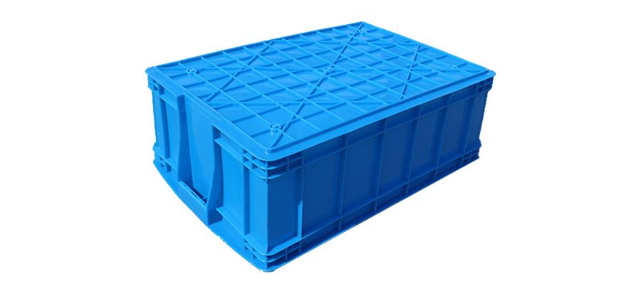 5051748593557832.jpg 1_03.jpg