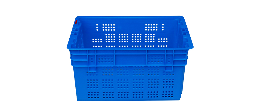 5181748334759558.jpg 1_02.jpg