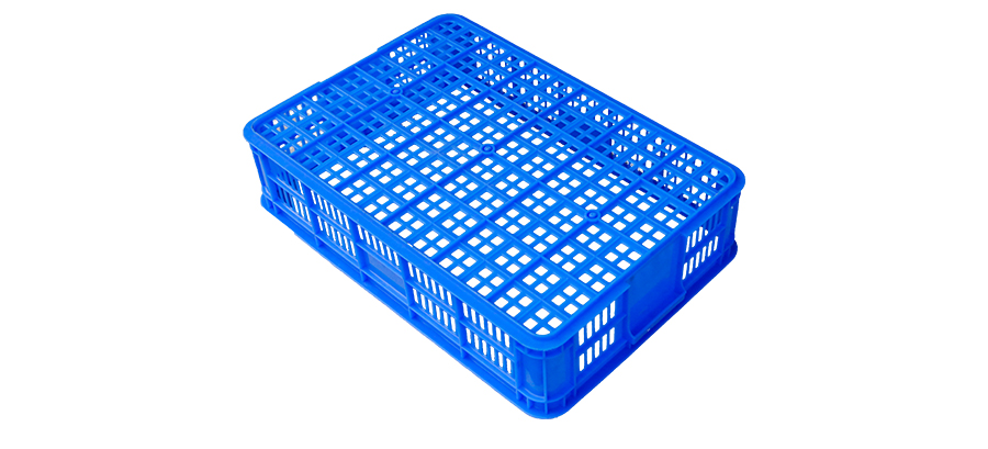 5221748503065303.jpg 1_03.jpg