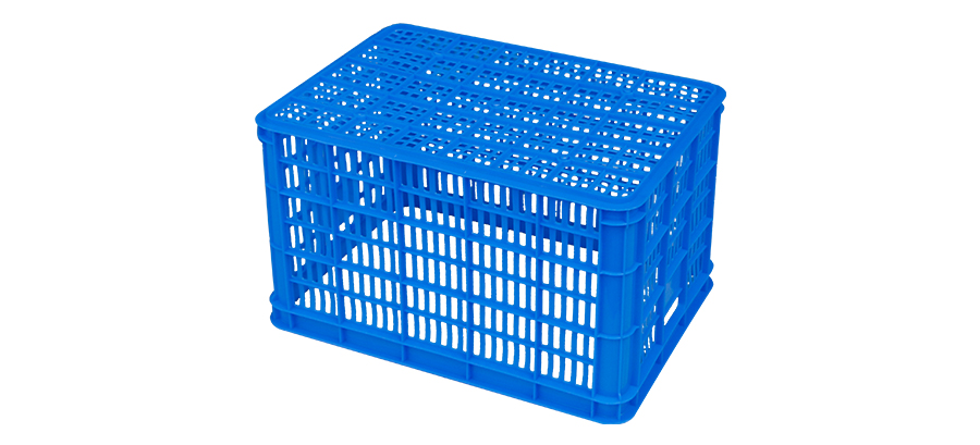 8011748503959502.jpg 1_03.jpg