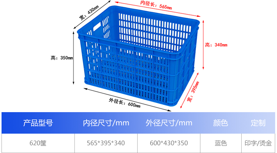 8581748503953197.jpg 1_01.jpg